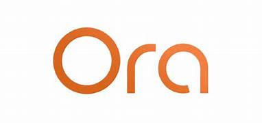 developer_logo