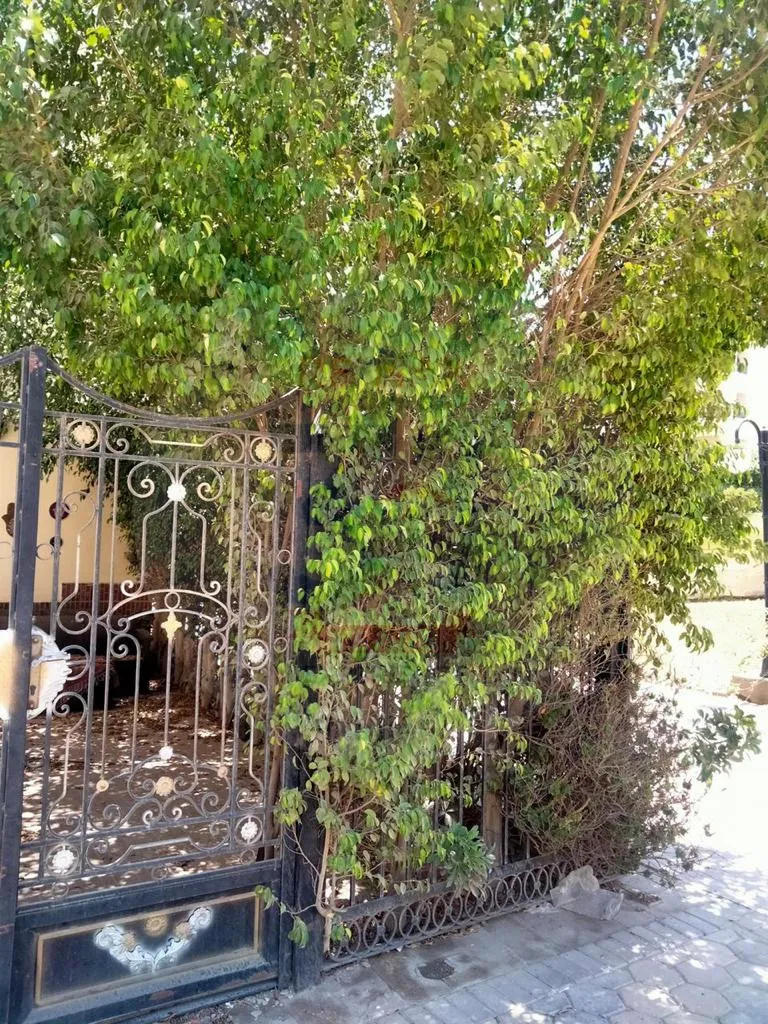 Fully furnished Apartment for sale - El Khamayel Compound