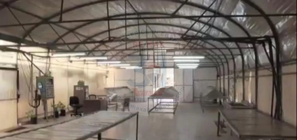 فرصة لشراء أرض على طريق الإسكندرية بمساحة 200 فدان.
