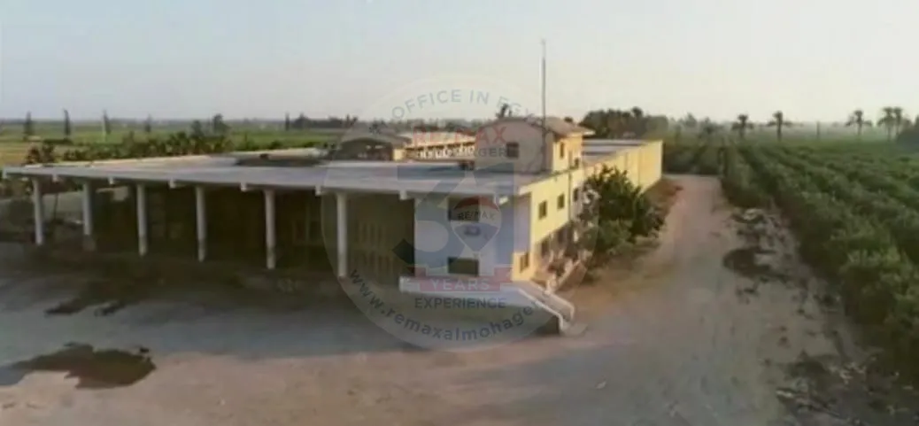 أرض للبيع بموقع حيوي على طريق الإسكندرية.