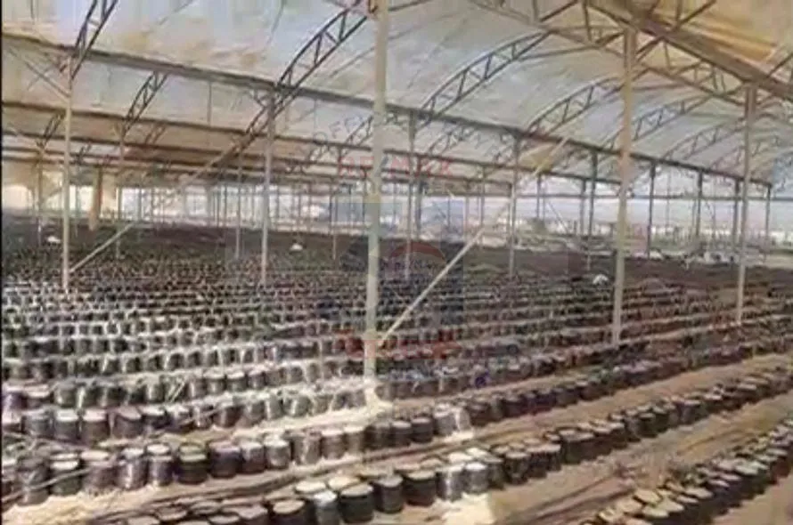 أرض واسعة للبيع على طريق الإسكندرية مباشرة.