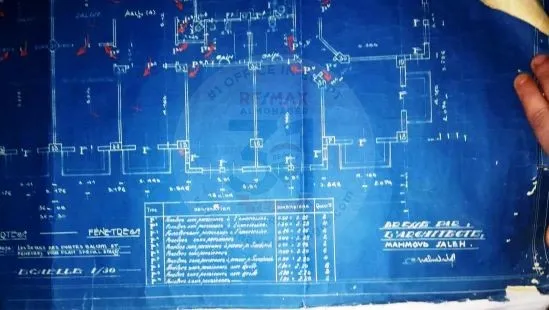 عقارات اسكندرية