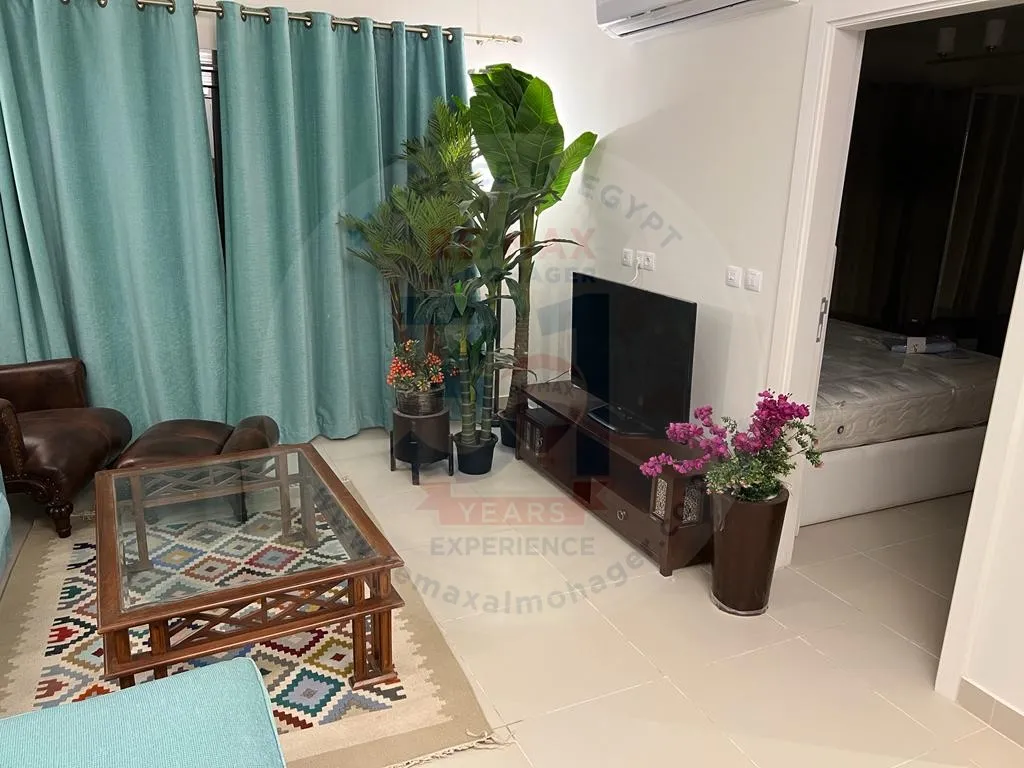 Superlux Apartment for rent 100 M