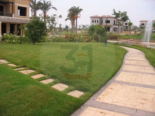 عقارات للايجار فى ليك فيو