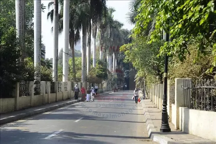 Apartment for sale in Zamalek