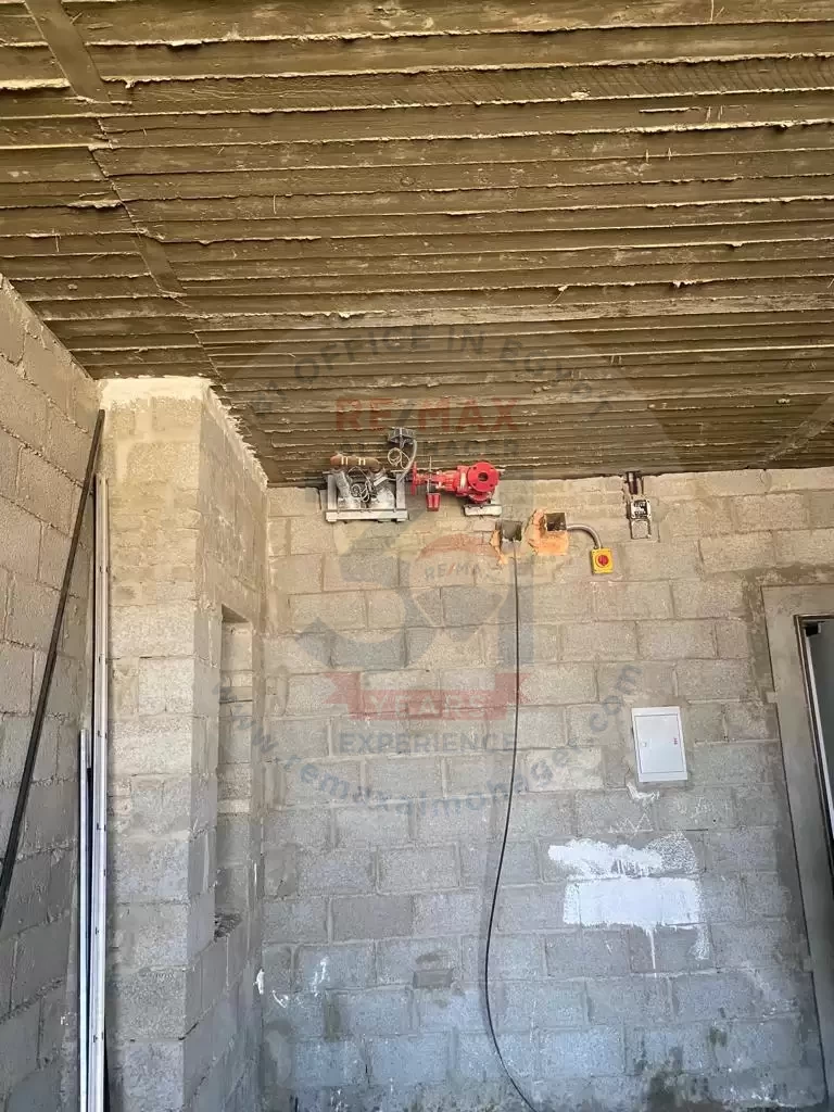 هايد بارك