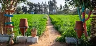 17-acre farm for sale in Wadi Al-Malak Agricultural Association