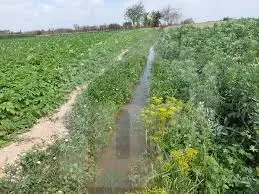 600فدان واجهة على طريق مصر الاسكندريه الصحراوي مبا