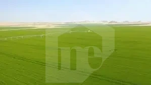 600فدان واجهة على طريق مصر الاسكندريه الصحراوي مبا