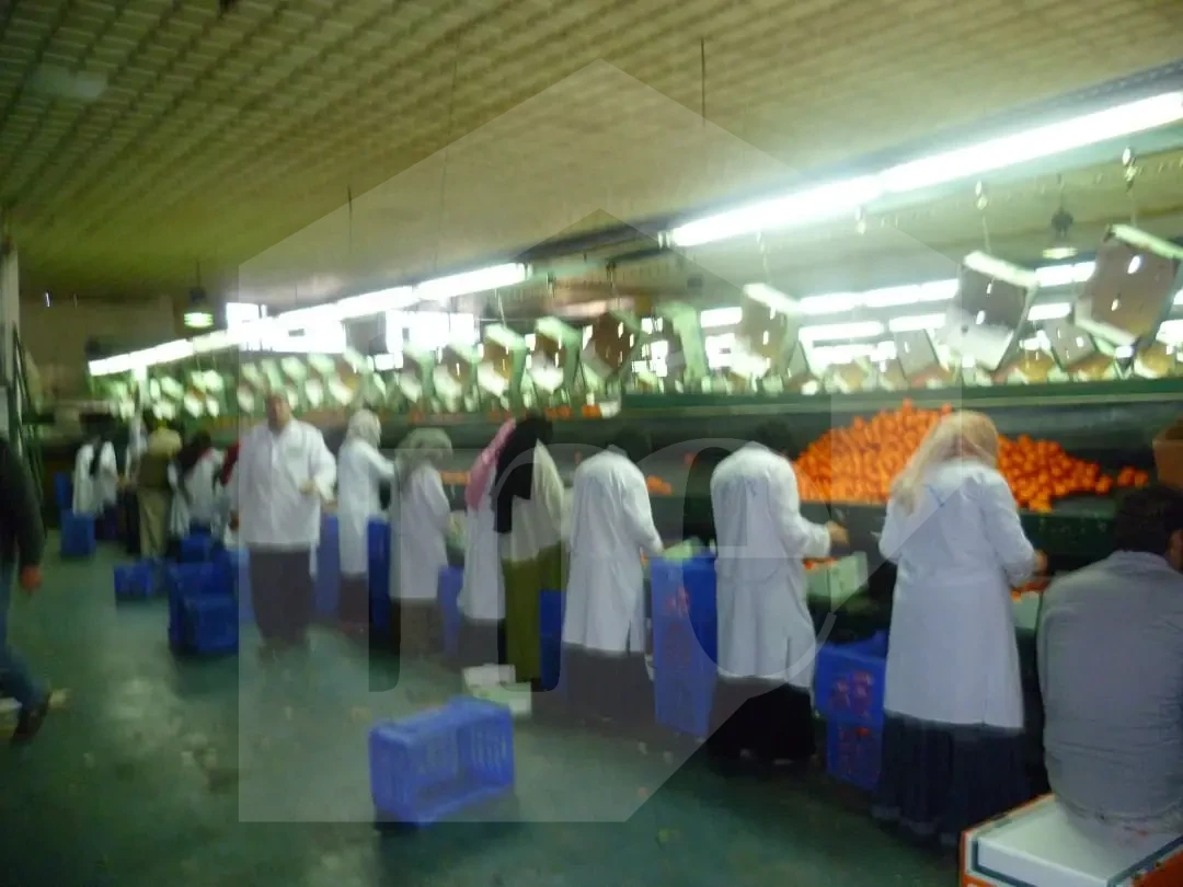 Sorting and packing station