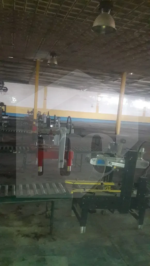 Sorting and packing station for exporting