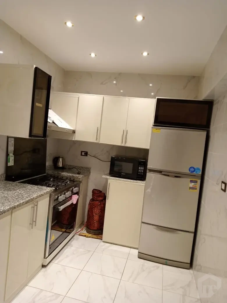 A luxurious apartment for rent in Nasr City,