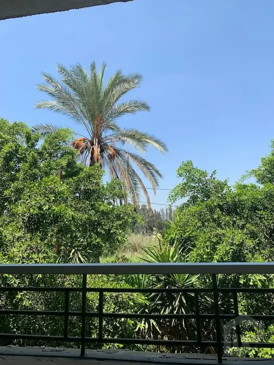 luxury farm Egypt