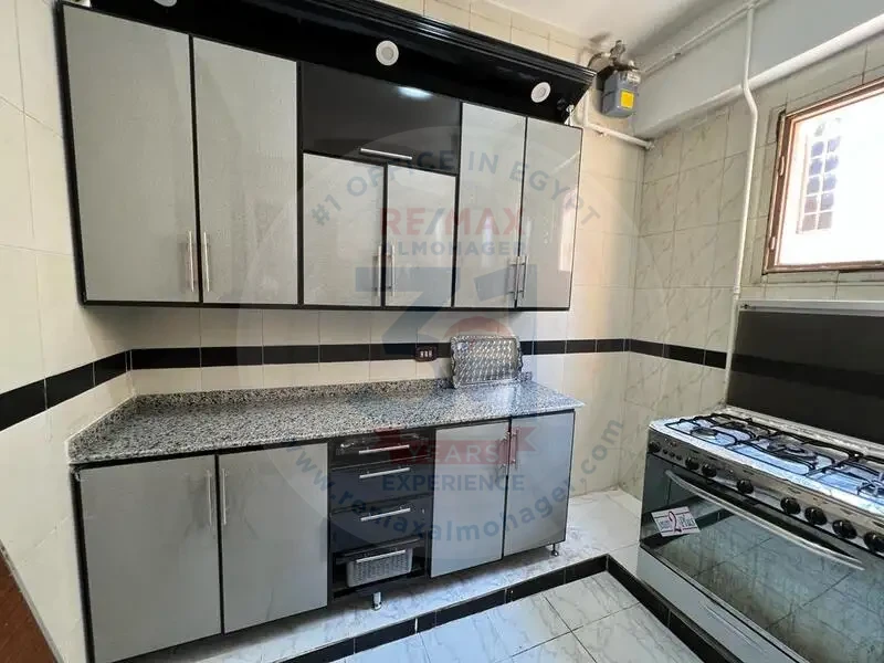 Apartment price for rent in the first settlement