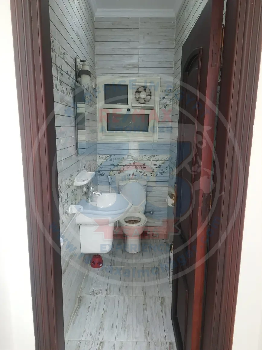 Apartment for rent in South Lotus, Fifth Settlement