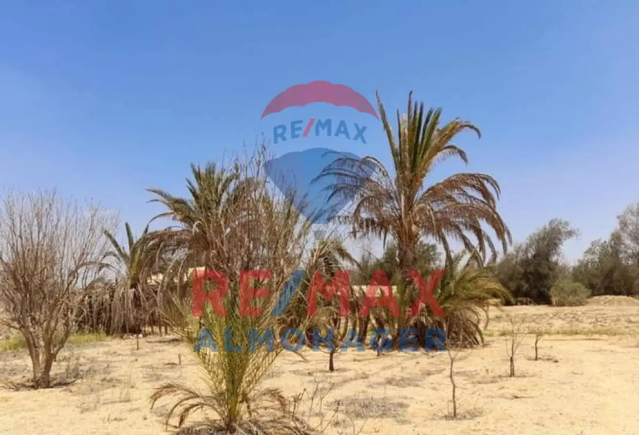 للبيع أرض استثمارية في زايد الجديدة – 46200 م² على شارع رئيسي