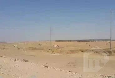 commercial land for sale Egypt