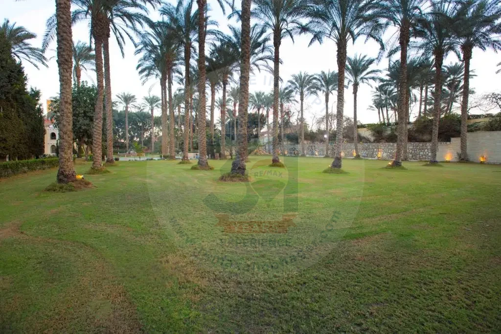 عزبة للبيع في الجيزة 4 فدان بمسطحات خضراء