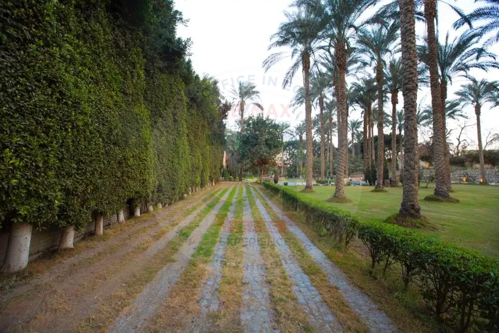 عزبة للبيع في الجيزة 4 فدان بممر نخيل