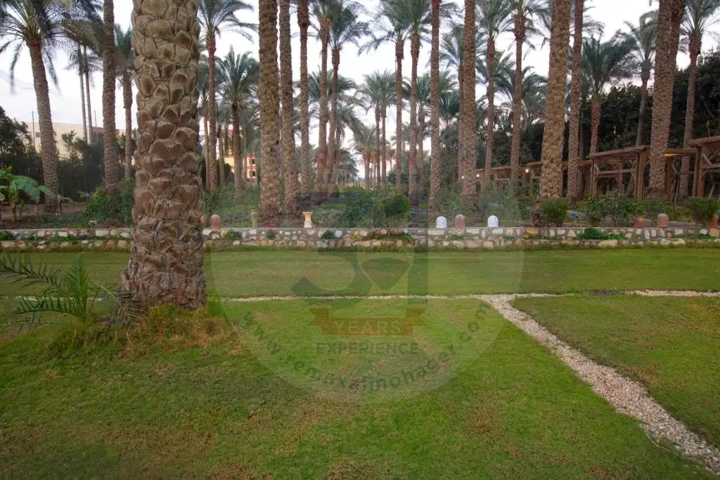 عزبة للبيع في الجيزة 4 فدان وحدائق واسعة
