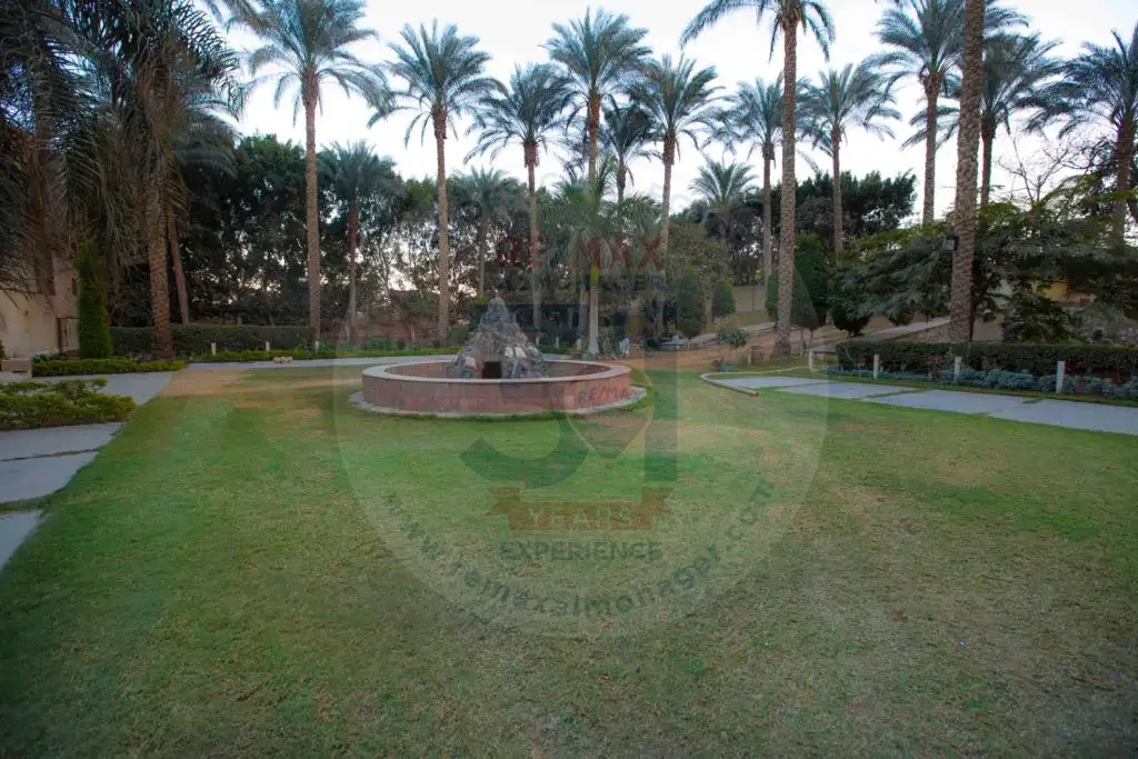 عزبة للبيع في الجيزة 4 فدان بنافورة وحدائق