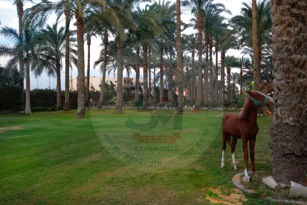 عزبة للبيع في الجيزة 4 فدان بخيل وحديقة