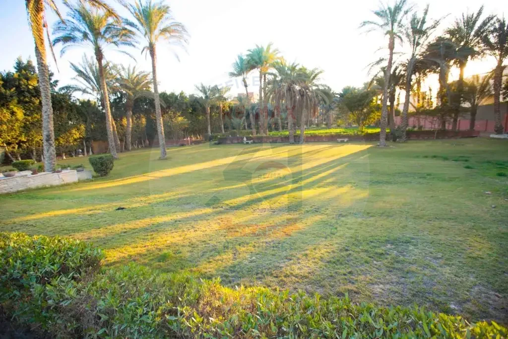 عزبة للبيع في الجيزة 4 فدان بحديقة مفتوحة