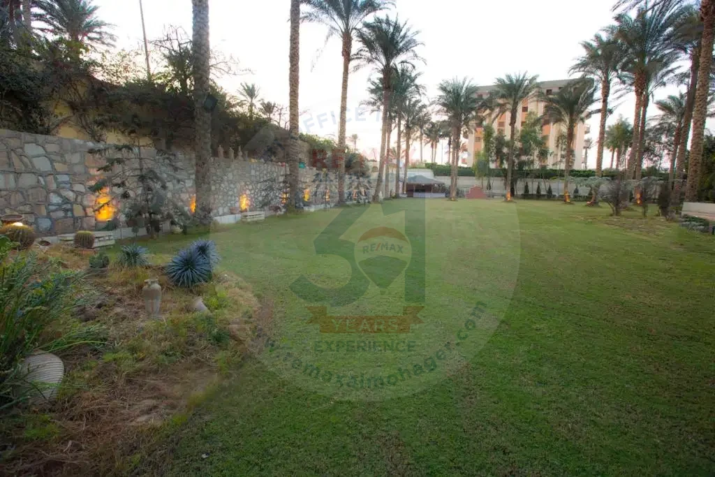 عزبة للبيع في الجيزة 4 فدان بسور حجري