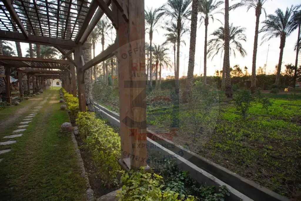 عزبة للبيع في الجيزة 4 فدان بممر مظلل