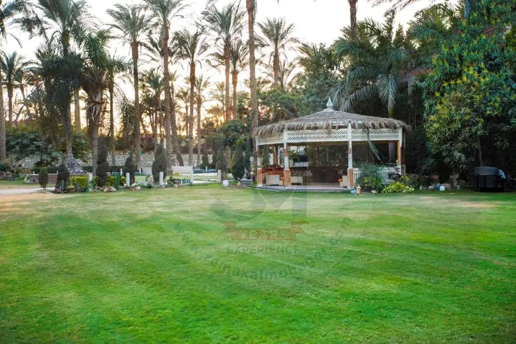عزبة للبيع في الجيزة 4 فدان ببرجولة وحديقة
