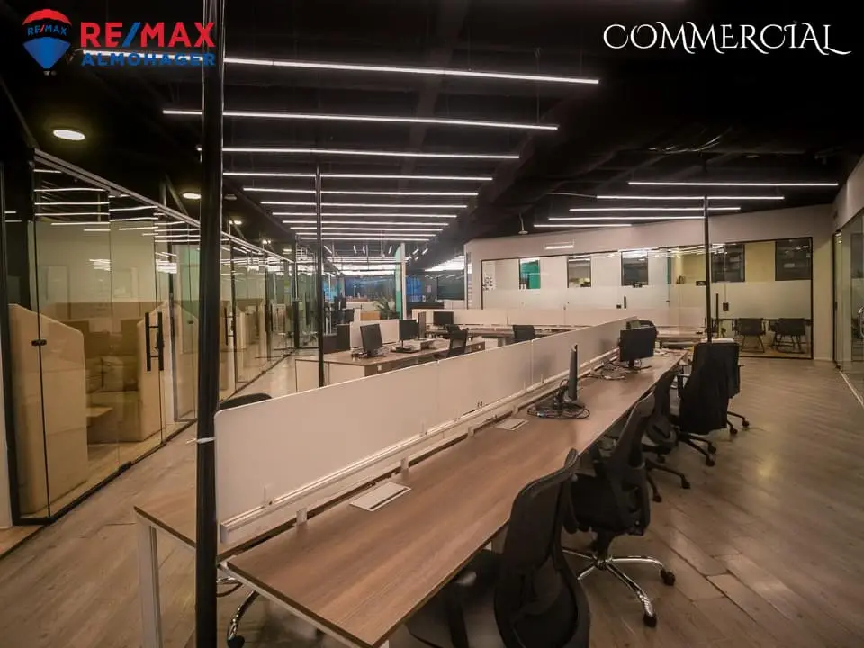 Dynamic Work Environment | Office Space in AUC GrEEK Campus