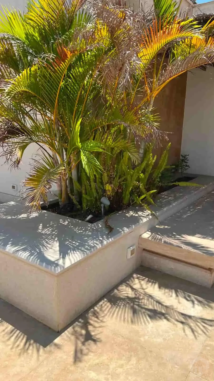Elegant Studio for Rent in Westown with Great Amenities