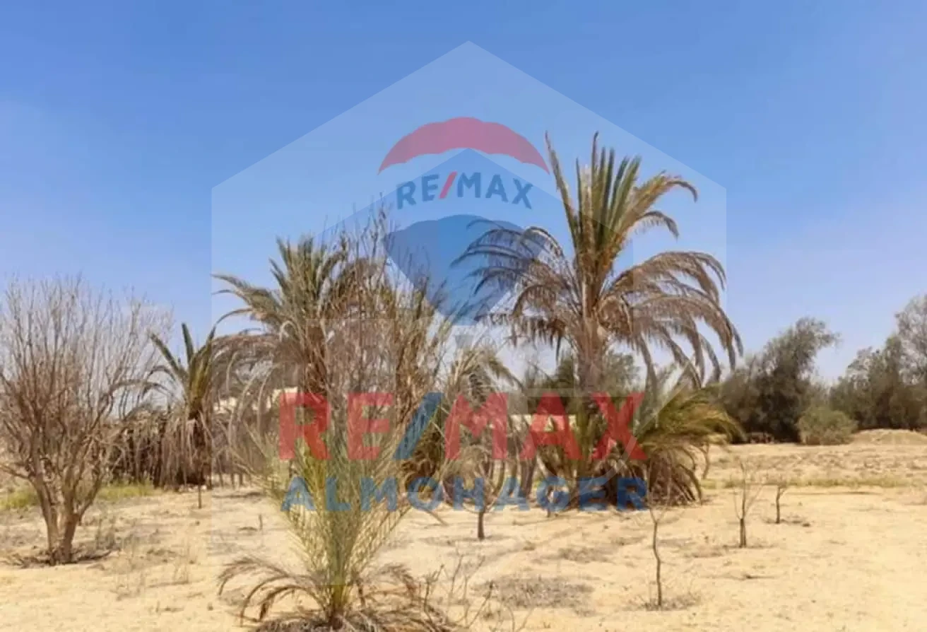 أرض للبيع في مدينة سفنكس - طريق الإسكندرية، كمبوند جرين فيو بإطلالة على الفلل والأراضي