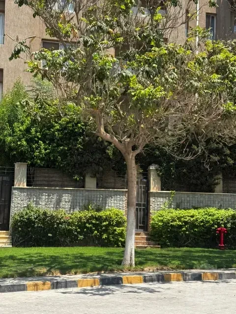 بنتهاوس مفروش بالكامل للبيع في ذا فيلدج