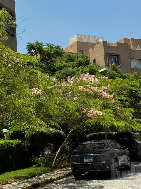 بنتهاوس مفروش بالكامل للبيع في ذا فيلدج