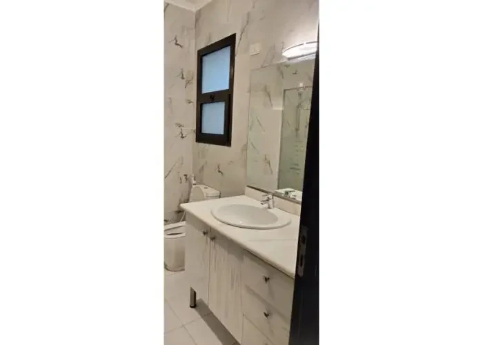Furnished apartment for rent in Eastown modern bathroom
