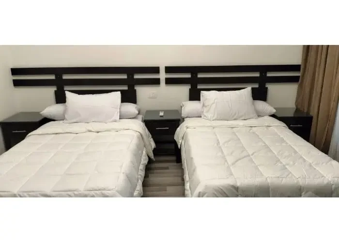 Furnished apartment for rent in Eastown room with twin beds