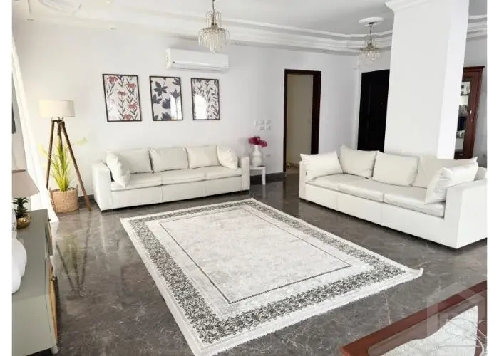 Furnished apartment for rent in Hyde Park with spacious living room