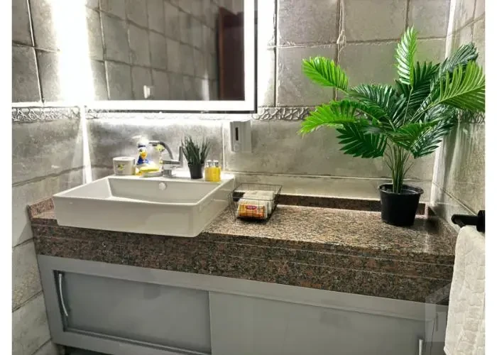 Furnished apartment for rent in Hyde Park vanity bathroom
