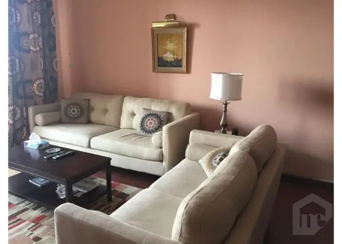 Furnished apartment for rent in Katameya Heights living room