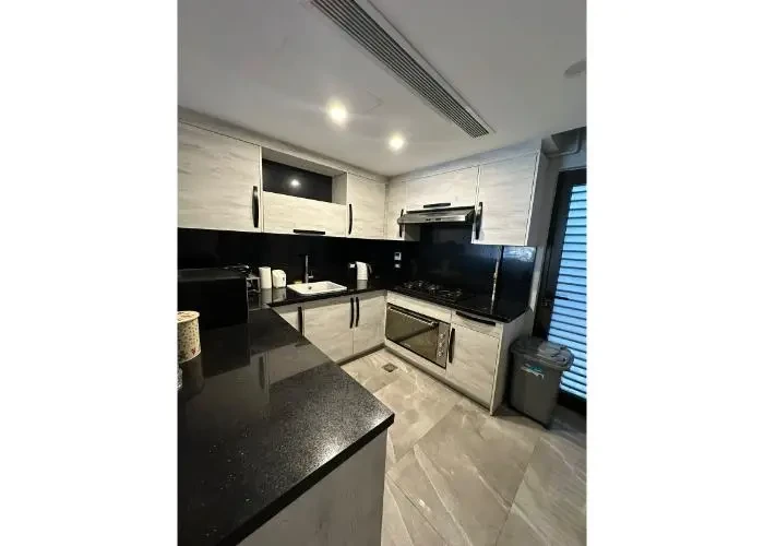 Furnished apartment for rent in Lake View Residence kitchen