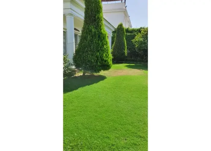 Luxury Villa For Rent In Mountain View