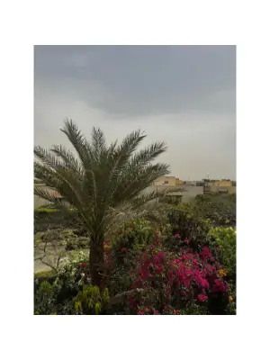 للأيجار فيلا