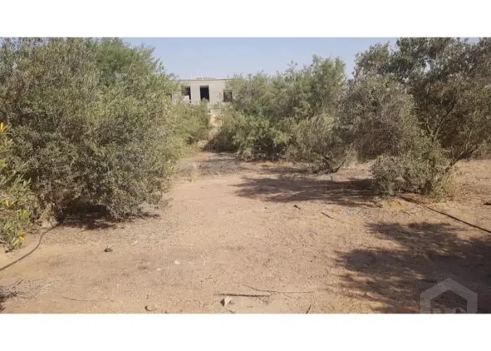 Ready serviced land Egypt