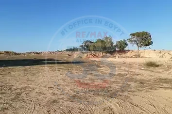 Land for sale 36 acres near Sphinx Airport open plot