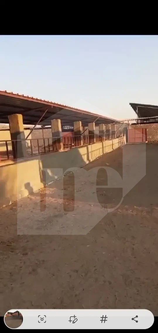 farm for sale at ismalia