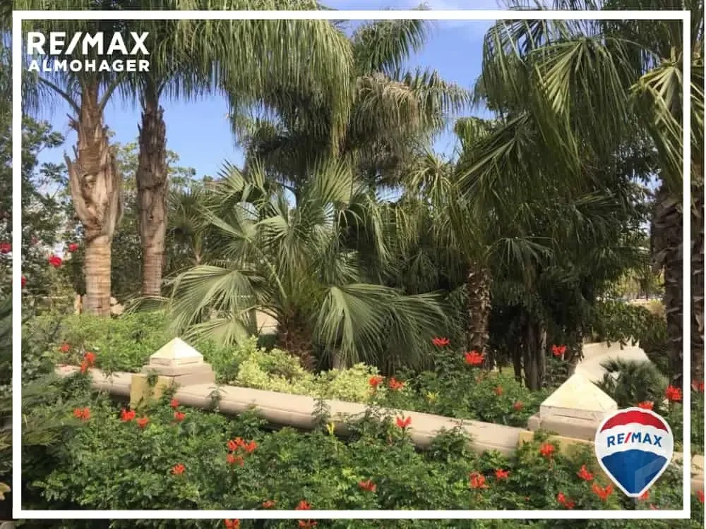 Complete Furnished Apartment for Rent in Palm Hills