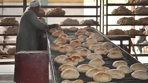 أرض للبيع رخصة فرن ومخبوزات في القاهرة الجديدة
