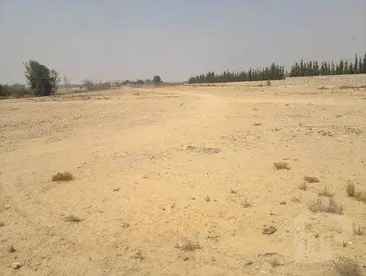 فرصة استثمارية نادرة – أرض للبيع في موقع استراتيجي بالقاهرة