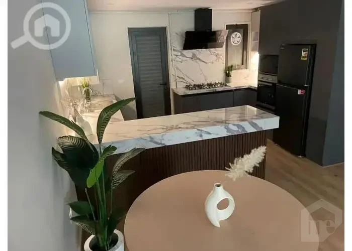 مطبخ مجهز بالكامل في شقة للبيع في ليك فيو ريزيدنس بحديقة خاصة.